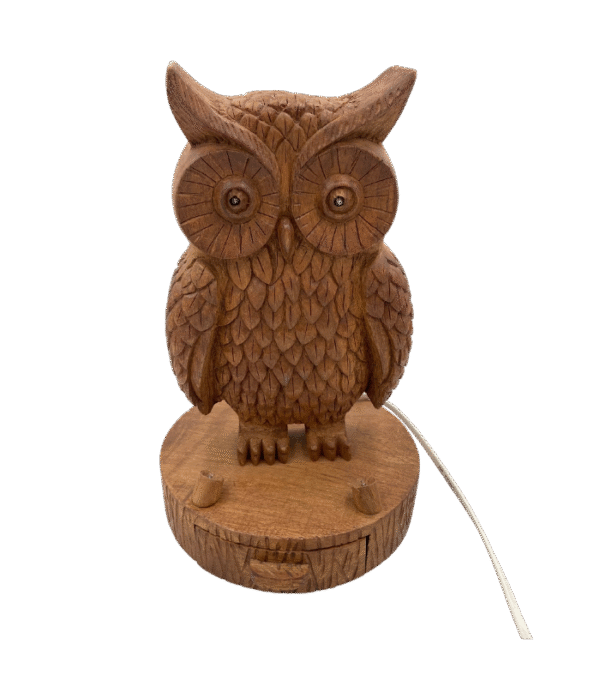 Hand-Carved Owl Lamp & Jewelry Holder