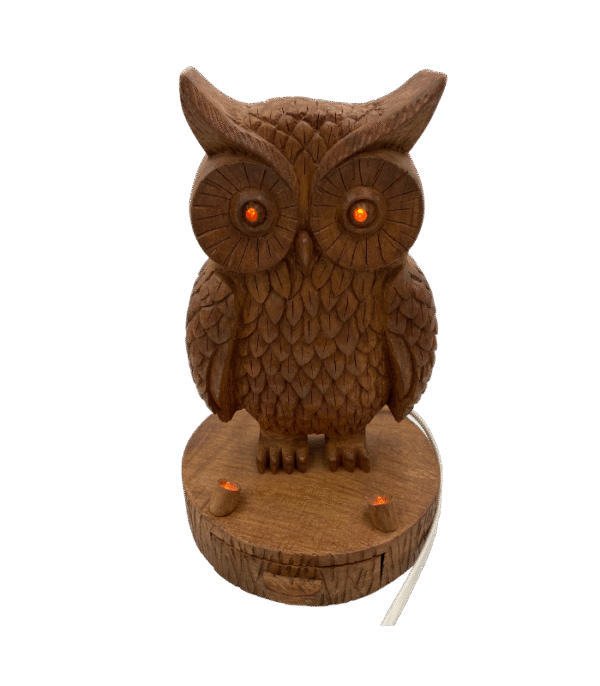 Hand-Carved Owl Lamp & Jewelry Holder - Image 2